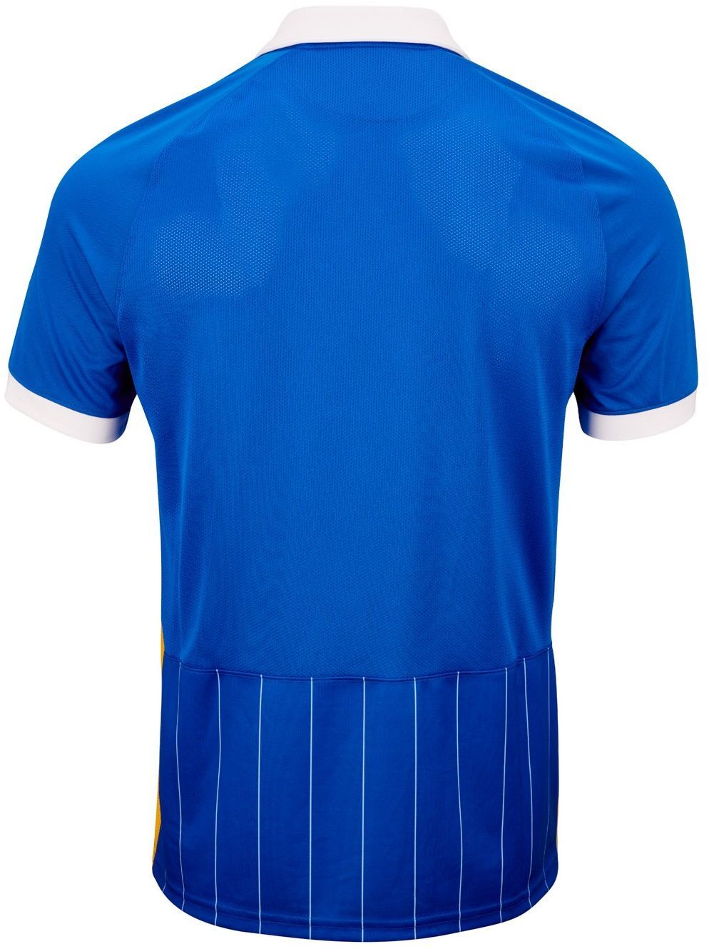 Brighton thuisshirt seizoen 2020/2021