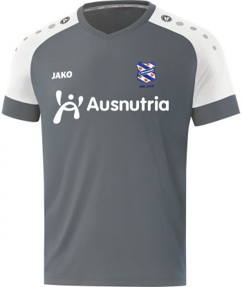 sc Heerenveen keepershirt grijs seizoen 2020/2021
