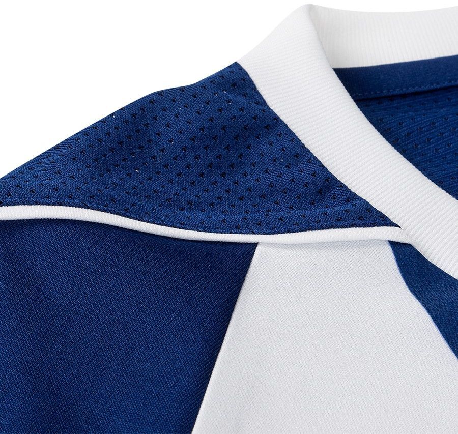 West Bromwich Albion F.C. thuisshirt seizoen 2017/2018